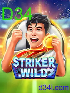 StrikerWILD